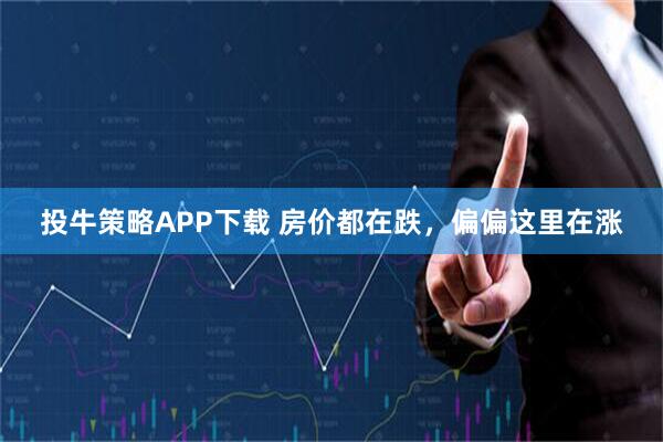 投牛策略APP下载 房价都在跌，偏偏这里在涨
