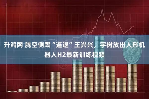 升鸿网 腾空侧踢“逼退”王兴兴，宇树放出人形机器人H2最新训练视频
